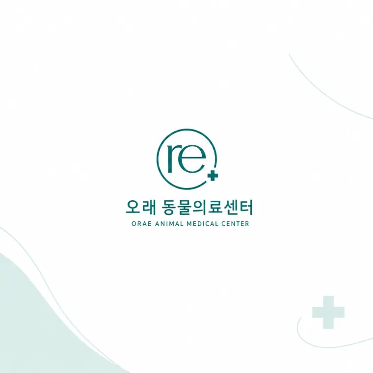 병원·의원 로고 디자인 — 반포 오래 동물의료센터 시간의 순환과 지속적 돌봄 병원 로고